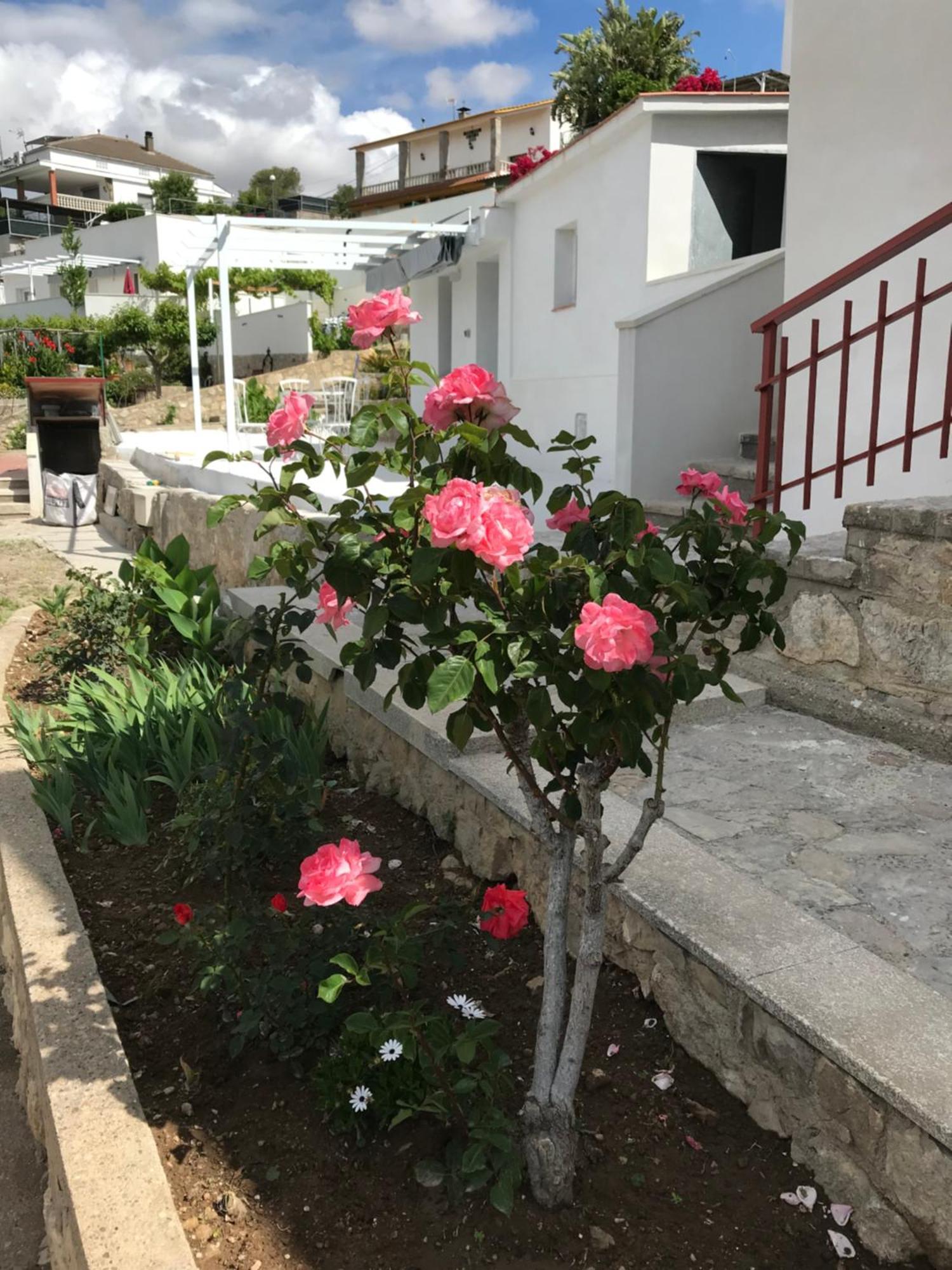 Campagne Luxueuse De Sitges